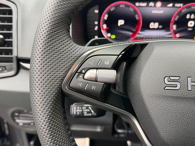 Skoda Karoq DSG Sportline