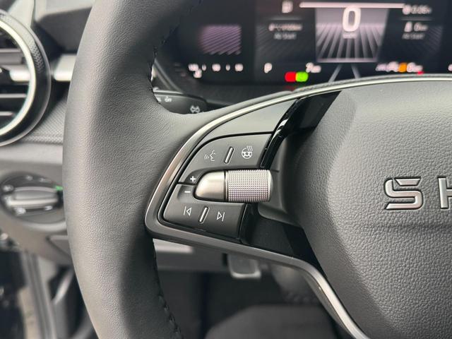 Skoda Fabia Drive Plus 1.0 TSI DSG