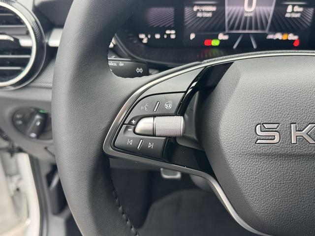 Skoda Fabia Drive Plus 1.0 TSI DSG