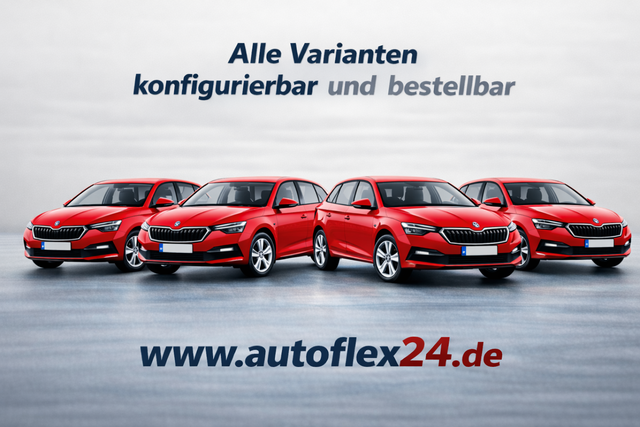 Skoda Scala - Essence 1,0 TSI LED Klimaanlage PDC 5J Garantie Spurhalteassistent Bluetooth