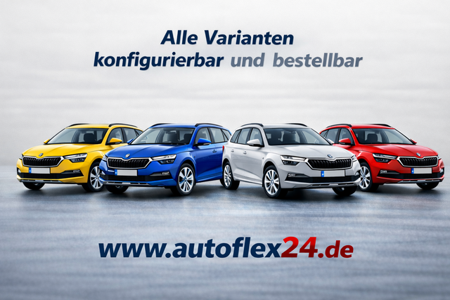 Skoda Kamiq - Essence 1,0 TSI Klima PDC LED 5JG