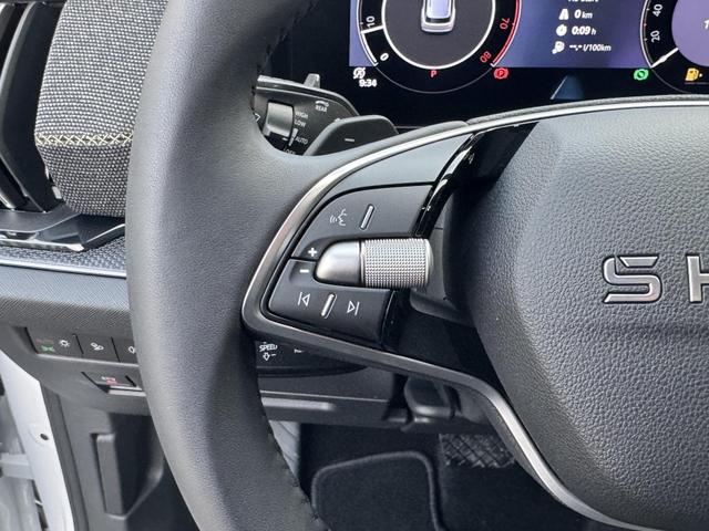 Skoda Kodiaq 2.0 TSI 4x4 kaufen