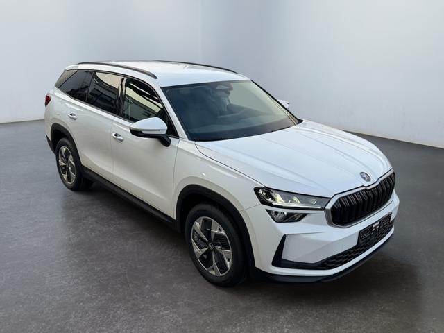 Skoda Kodiaq 2.0 TSI 4x4 kaufen