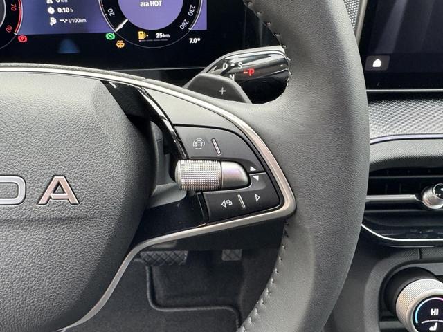 Skoda Kodiaq Grau 2.0 TSI 4x4 kaufen 