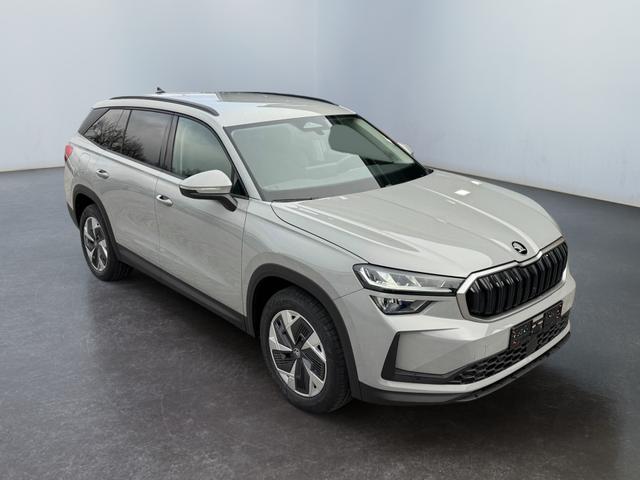 Skoda Kodiaq Grau 2.0 TSI 4x4 kaufen 