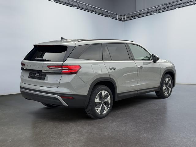 Skoda Kodiaq Grau 2.0 TSI 4x4 kaufen 