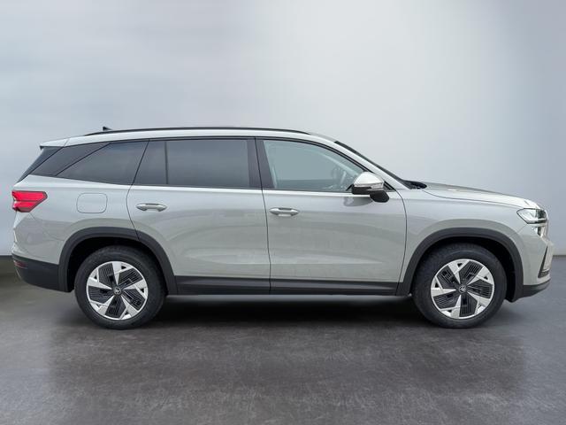 Skoda Kodiaq Grau 2.0 TSI 4x4 kaufen 