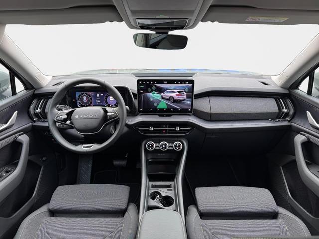 Skoda Kodiaq Grau 2.0 TSI 4x4 kaufen 