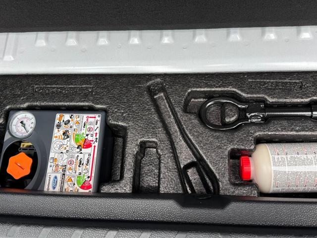 Gebraucht Ford EcoSport kaufen