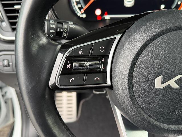 Gebraucht Kia XCeed 1.6 T-GDI Platinum Edition Panorama