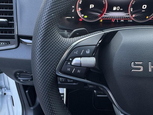 Neue Skoda Karoq 1,5 TSI DSG Sportline 2026