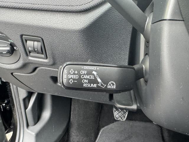 Reimport Skoda Fabia 1,0 TSI Extra Plus 2 ZoKlima ACC Navi 2x Einparkhilfe Kessy