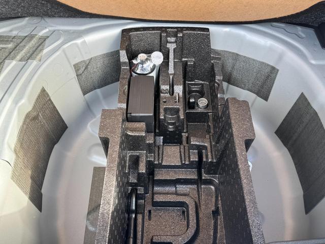 Skoda Fabia 1,0 TSI DSG Extra Plus 2 ZoKlima ACC Navi 2x Einparkhilfe 