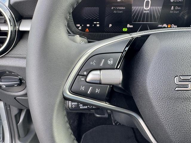 Skoda Fabia 1,0 TSI DSG Extra Plus 2 ZoKlima ACC Navi 2x Einparkhilfe 