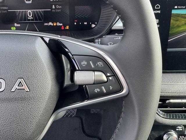 Skoda Fabia 1,0 TSI DSG Extra Plus 2 ZoKlima ACC Navi 2x Einparkhilfe 