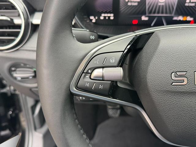 Reimport Skoda Fabia 1,0 TSI Extra Plus 2 ZoKlima ACC Navi 2x Einparkhilfe Kessy