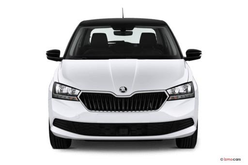 Skoda Fabia 1.0 TSI DSG Ambition 2x Einparkhilfe Sitzheizung Klima Navi Amundsen Apple Car 