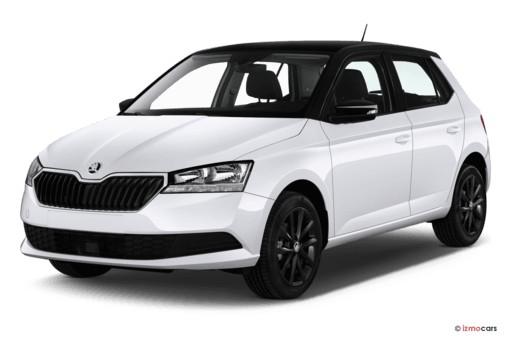 Skoda Fabia 1.0 TSI DSG Ambition 2x Einparkhilfe Sitzheizung Klima Navi Amundsen Apple Car 