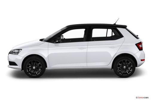 Skoda Fabia 1.0 TSI DSG Ambition 2x Einparkhilfe Sitzheizung Klima Navi Amundsen Apple Car 
