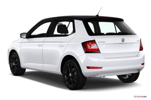 Skoda Fabia 1.0 TSI DSG Ambition 2x Einparkhilfe Sitzheizung Klima Navi Amundsen Apple Car 