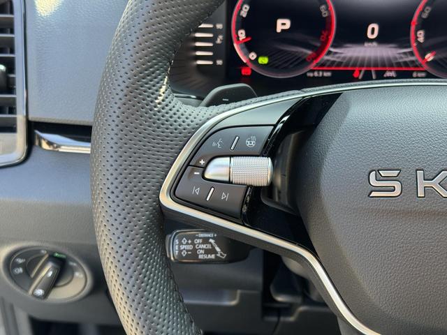 Reimport Skoda Karoq Sportline kaufen