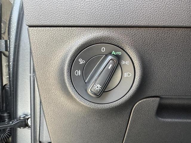 Karoq 2,0 TSI 4x4 DSG kaufen