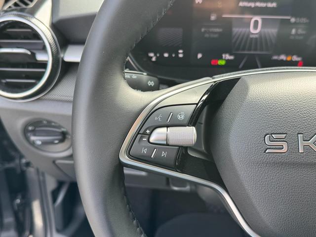 Neue Skoda Fabia Drive Plus DSG kaufen