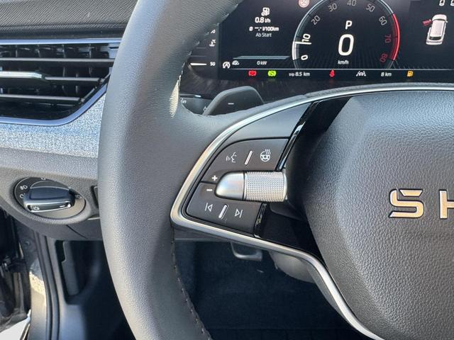 Reimport Skoda Kamiq DSG kaufen