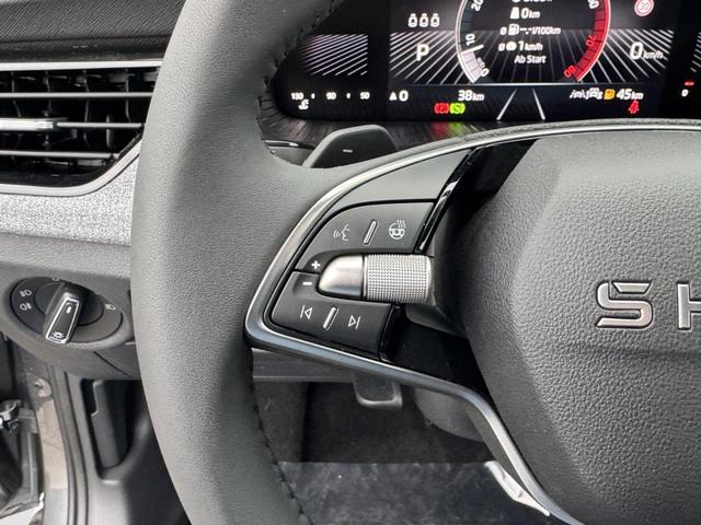 Reimport Skoda Scala Extra Plus 1,5 TSI DSG kaufen