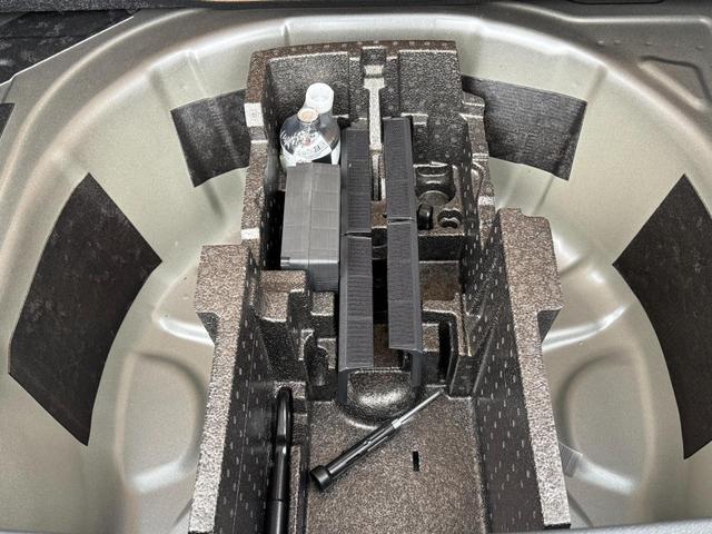 Reimport Skoda Scala Extra Plus 1,5 TSI DSG kaufen