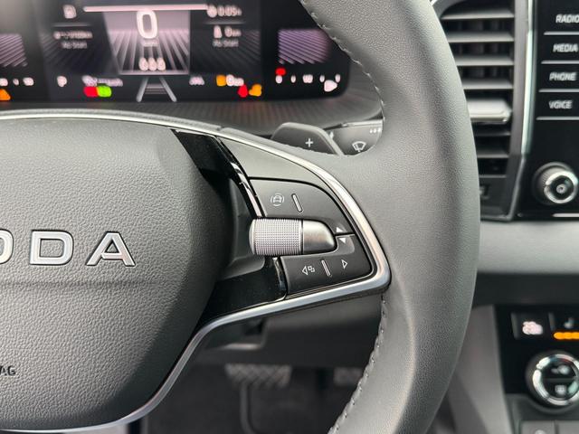 Reimport Skoda Karoq 1.5 TSI DSG kaufen