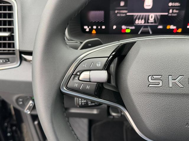 Reimport Skoda Karoq 1.5 TSI DSG kaufen