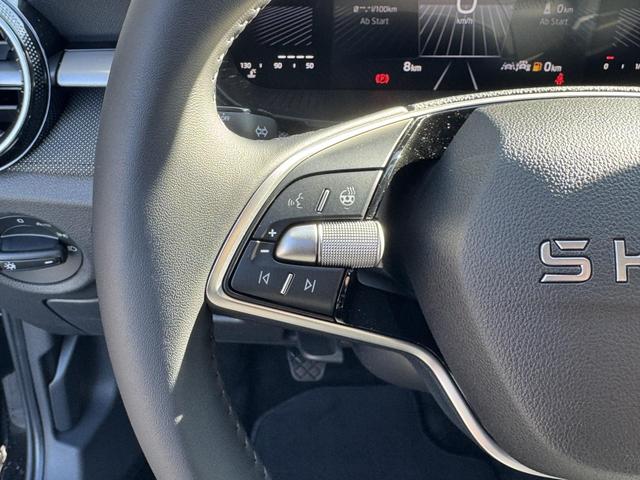 Reimport Skoda Fabia Drive Plus 1.0 TSI kaufen