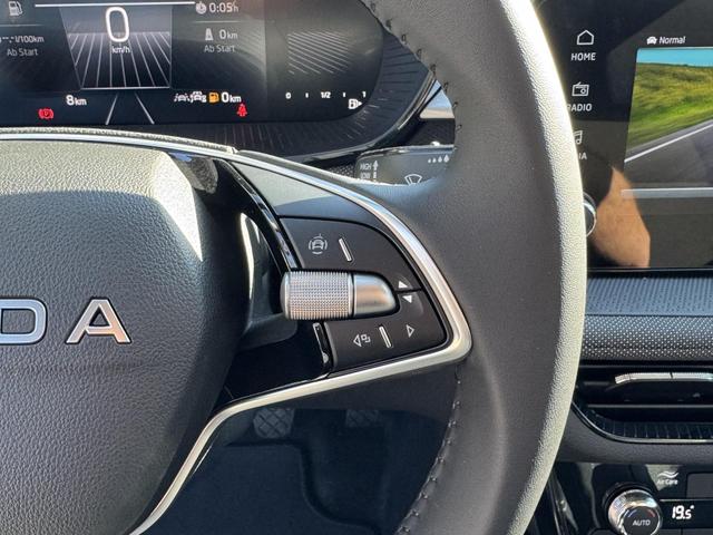 Reimport Skoda Fabia Drive Plus 1.0 TSI kaufen