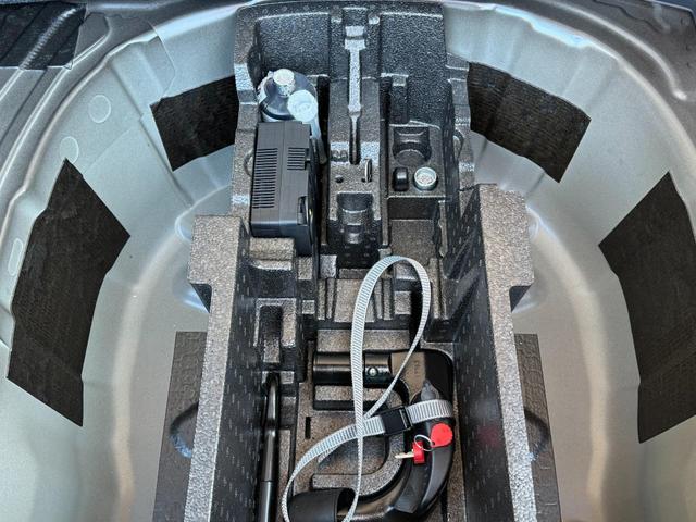 Reimport Skoda Fabia Drive DSG kaufen