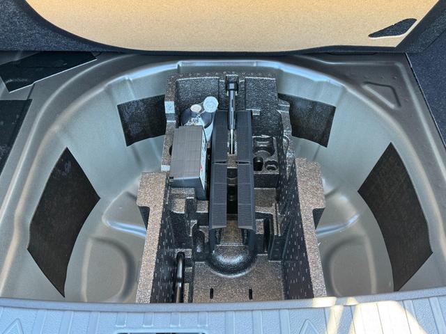 Reimport Skoda Scala DSG kaufen