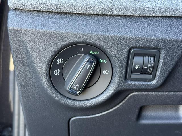 Reimport Skoda Scala DSG kaufen