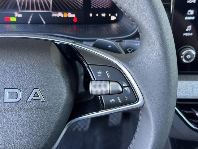 Reimport Skoda Scala DSG kaufen