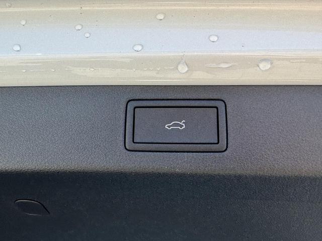 Reimport Skoda Kamiq DSG kaufen