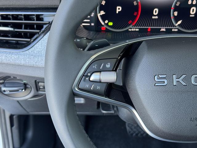 Reimport Skoda Kamiq DSG kaufen