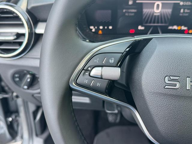 Reimport Skoda Fabia drive plus kaufen