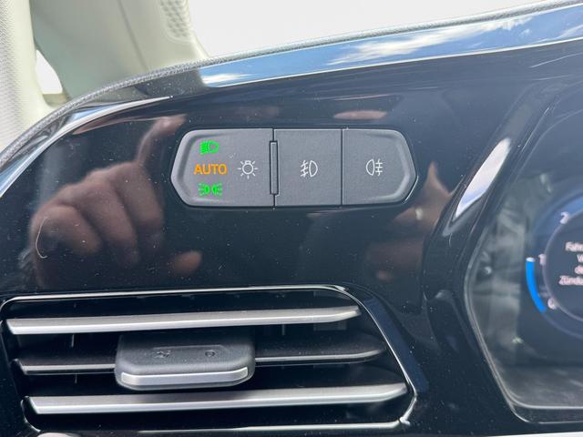 Ford Grand Tourneo Titanium 2,0 TDCI L2 7 Sitzer Klimaautomatik Anh&auml;ngerkupplung Sitzheizung Einparkhilfe Kamera 17 Zoll Leichtmetall ACC 
