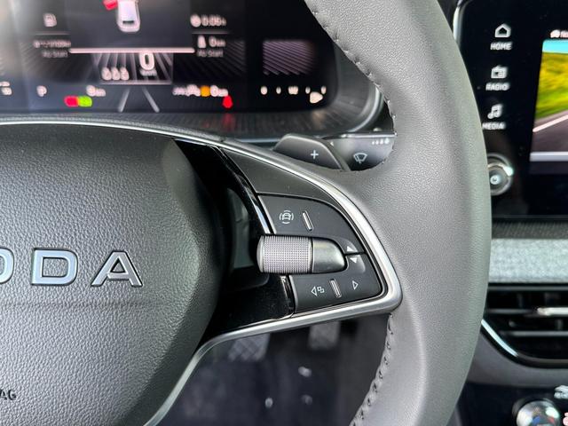 Reimport Skoda Scala Extra Plus 1,5 TSI DSG kaufen 