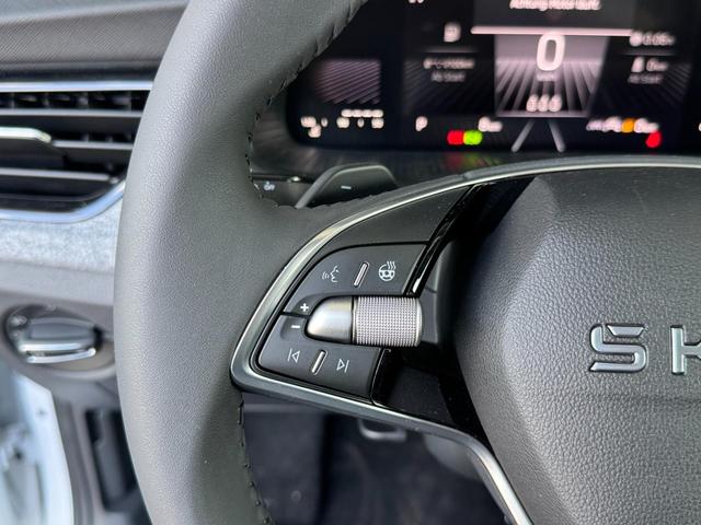 Reimport Skoda Scala Extra Plus 1,5 TSI DSG kaufen 