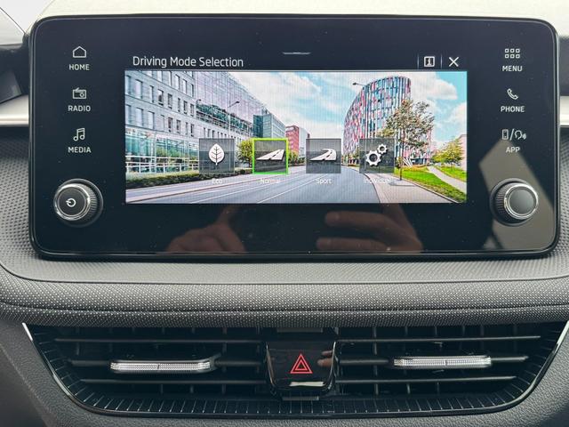 Reimport Skoda Fabia Extra Plus 1,5 TSI kaufen