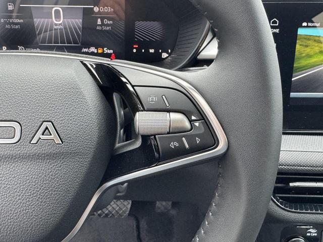 Reimport Skoda Fabia Extra Plus 1,5 TSI kaufen