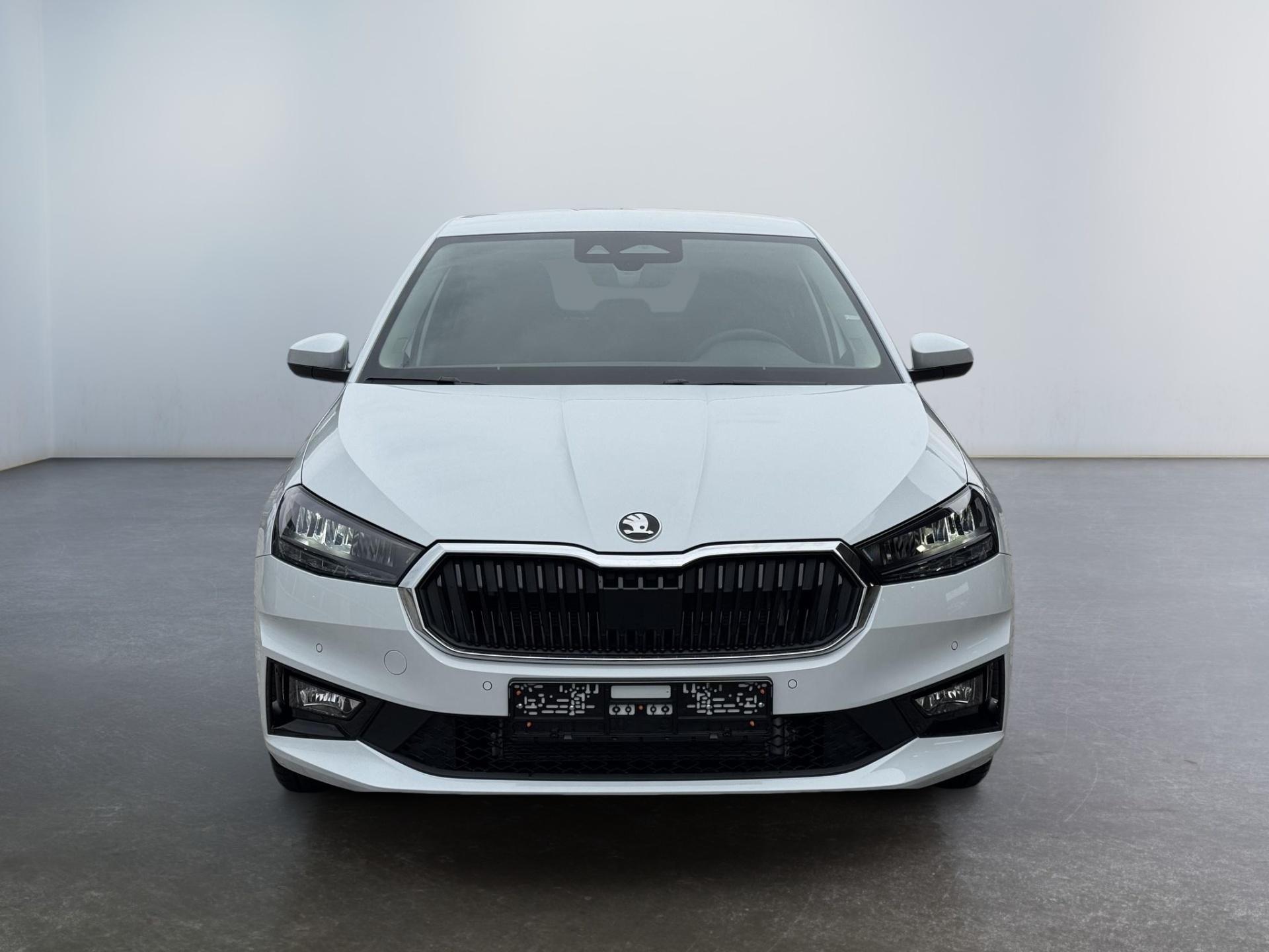 Reimport Skoda Fabia 150ps kaufen