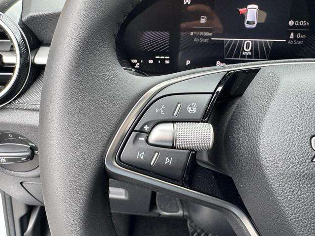 Reimport Skoda Fabia 150ps kaufen