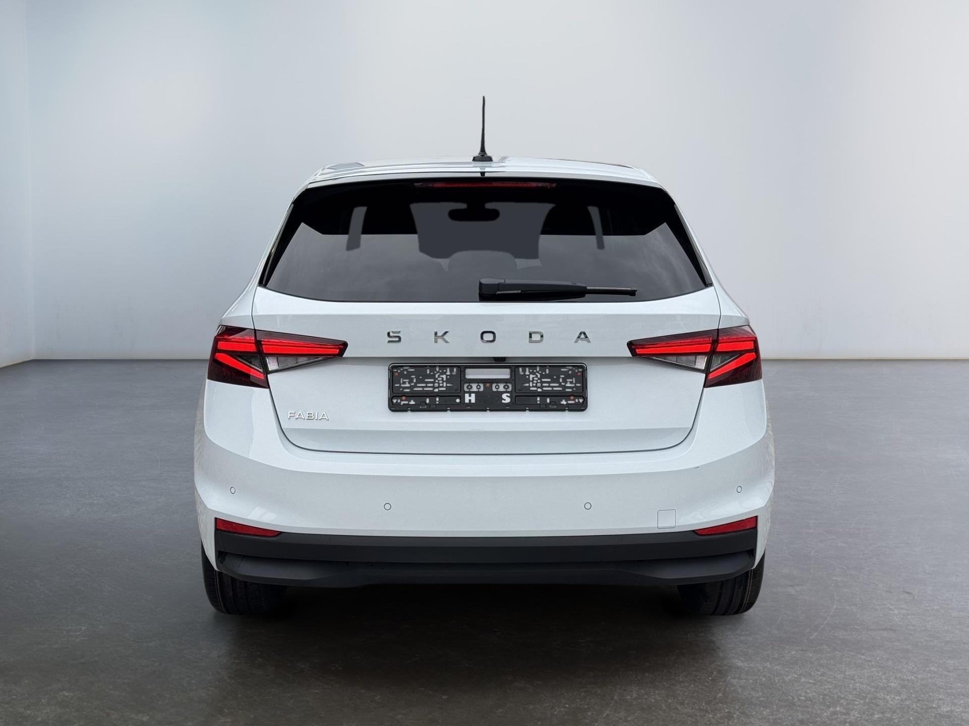 Reimport Skoda Fabia 150ps kaufen