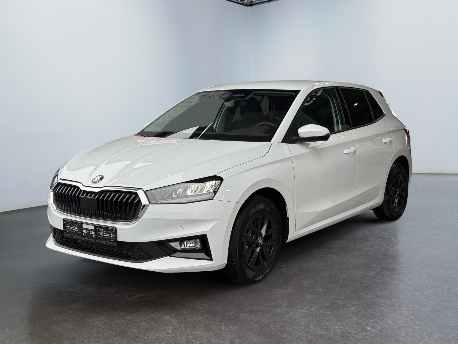Reimport Skoda Fabia Extra Plus 1,0 TSI DSG kaufen